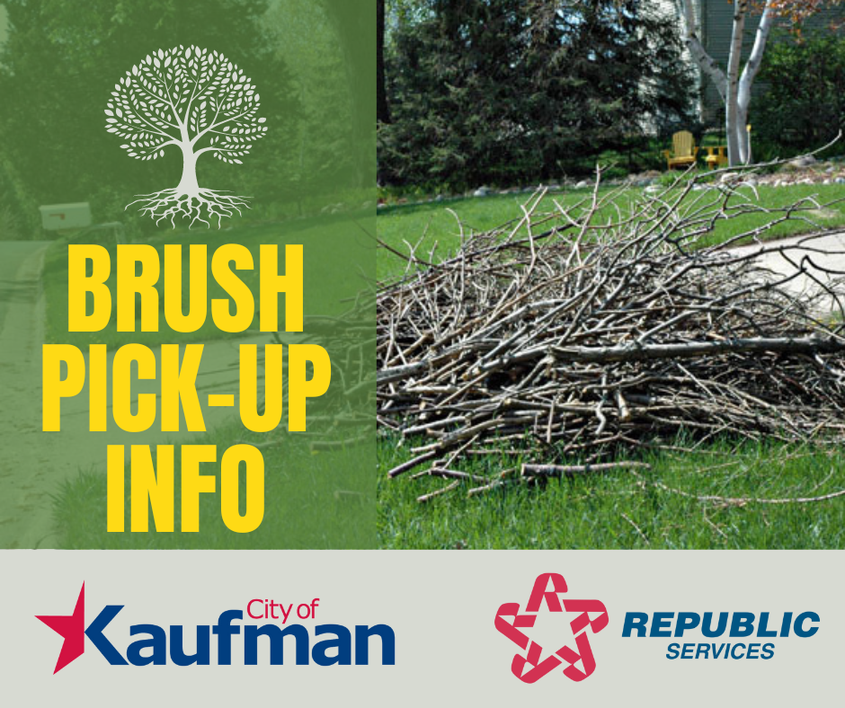 BRUSH PICK-UP INFO